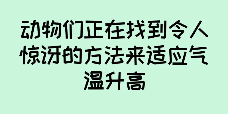 动物们正在找到令人惊讶的方法来适应气温升高