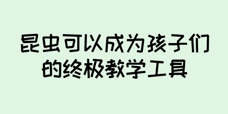 昆虫可以成为孩子们的终极教学工具