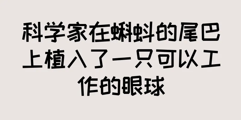 科学家在蝌蚪的尾巴上植入了一只可以工作的眼球