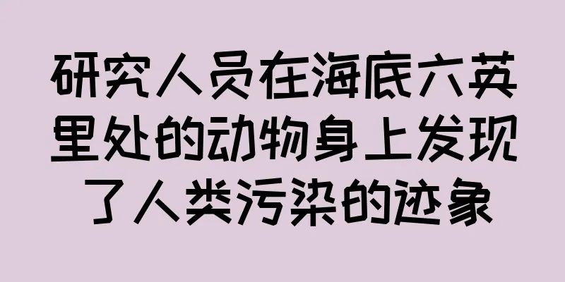 研究人员在海底六英里处的动物身上发现了人类污染的迹象