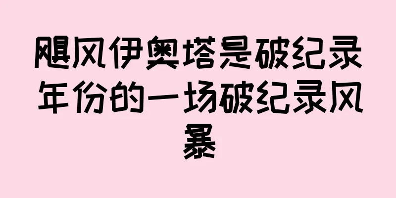 飓风伊奥塔是破纪录年份的一场破纪录风暴