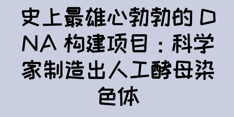 史上最雄心勃勃的 DNA 构建项目：科学家制造出人工酵母染色体