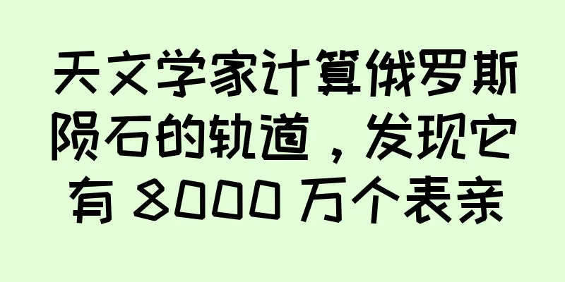 天文学家计算俄罗斯陨石的轨道，发现它有 8000 万个表亲