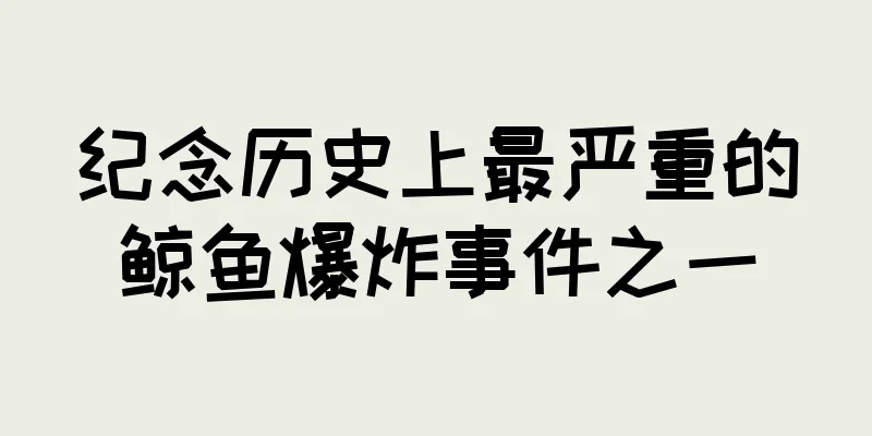 纪念历史上最严重的鲸鱼爆炸事件之一