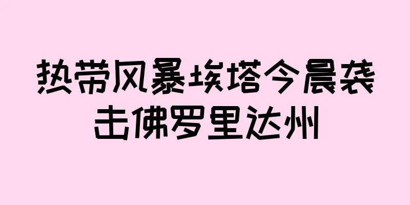 热带风暴埃塔今晨袭击佛罗里达州