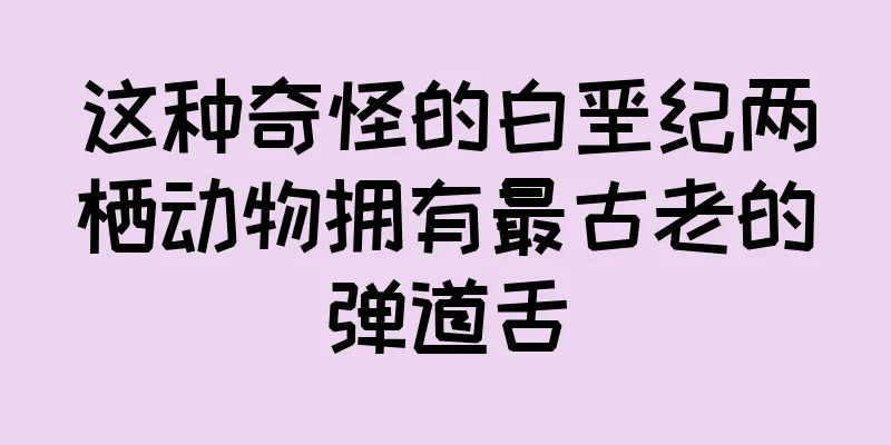 这种奇怪的白垩纪两栖动物拥有最古老的弹道舌