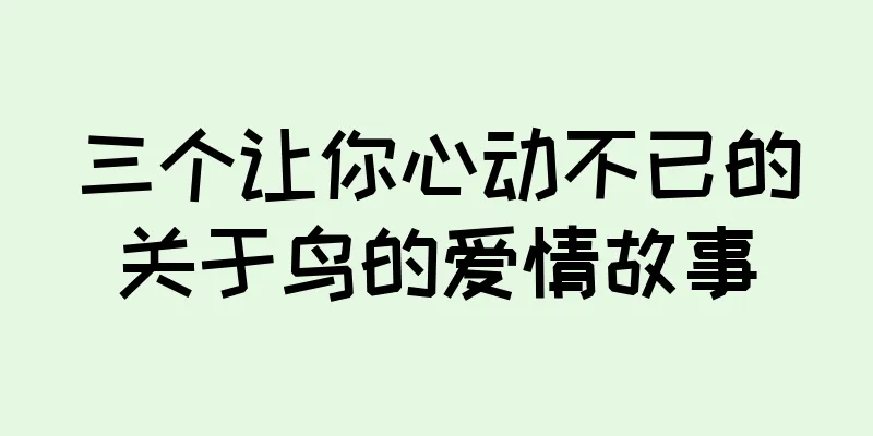 三个让你心动不已的关于鸟的爱情故事