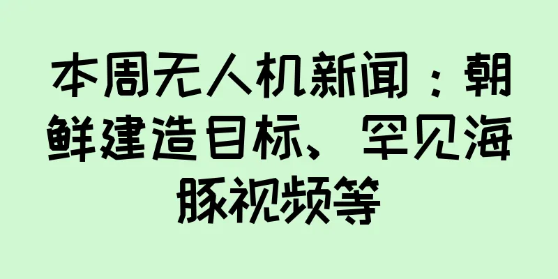 本周无人机新闻：朝鲜建造目标、罕见海豚视频等