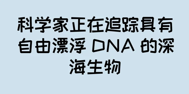 科学家正在追踪具有自由漂浮 DNA 的深海生物