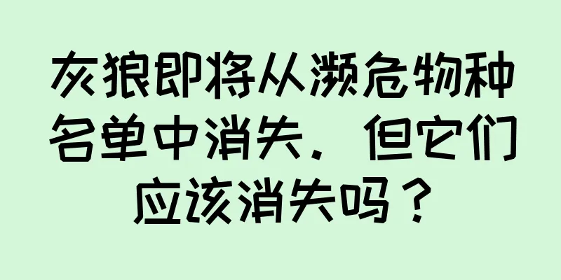 灰狼即将从濒危物种名单中消失。但它们应该消失吗？