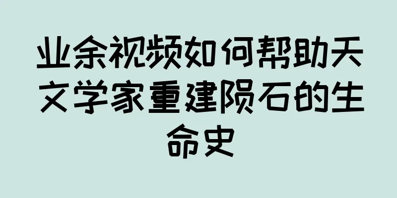 业余视频如何帮助天文学家重建陨石的生命史