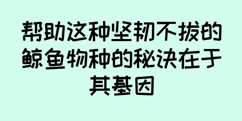 帮助这种坚韧不拔的鲸鱼物种的秘诀在于其基因
