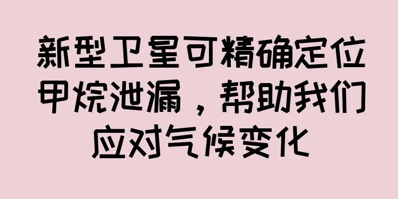 新型卫星可精确定位甲烷泄漏，帮助我们应对气候变化