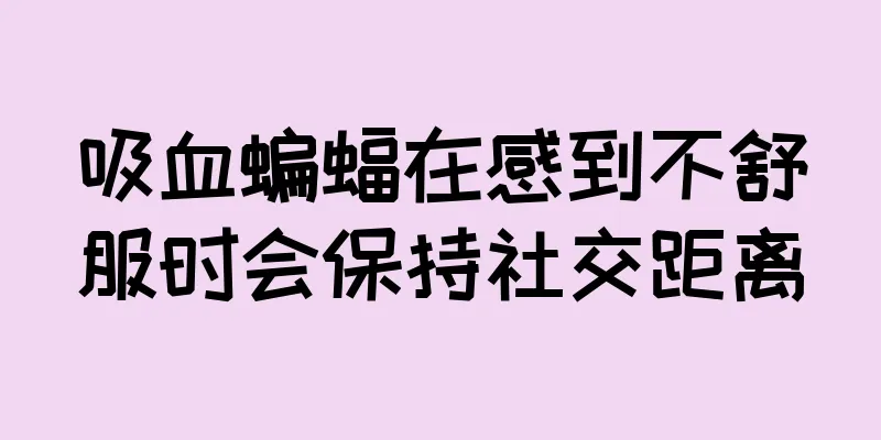 吸血蝙蝠在感到不舒服时会保持社交距离