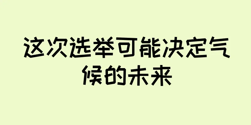 这次选举可能决定气候的未来
