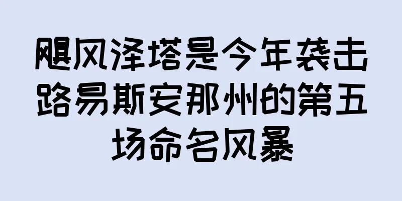 飓风泽塔是今年袭击路易斯安那州的第五场命名风暴