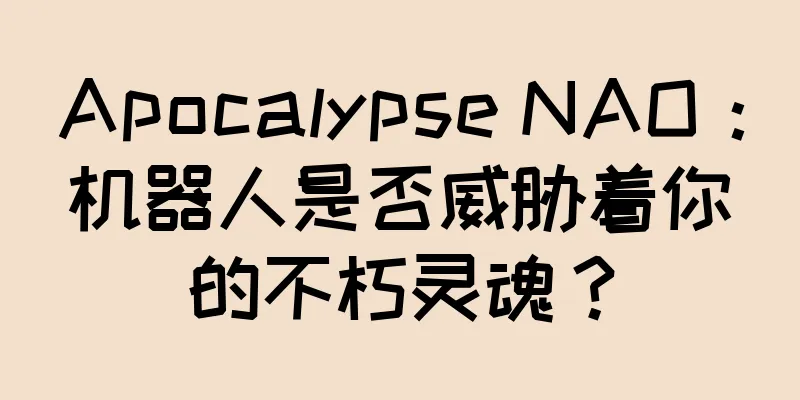 Apocalypse NAO：机器人是否威胁着你的不朽灵魂？