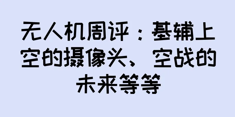 无人机周评：基辅上空的摄像头、空战的未来等等