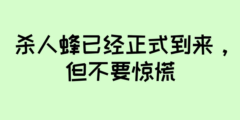 杀人蜂已经正式到来，但不要惊慌