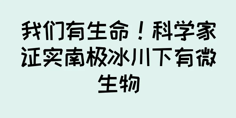 我们有生命！科学家证实南极冰川下有微生物
