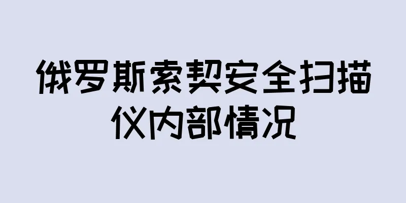 俄罗斯索契安全扫描仪内部情况