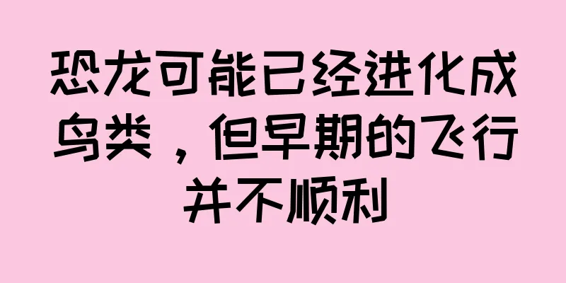恐龙可能已经进化成鸟类，但早期的飞行并不顺利