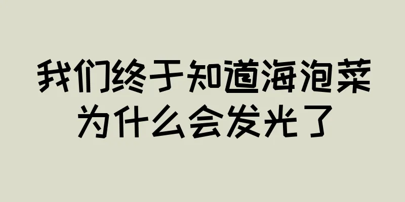 我们终于知道海泡菜为什么会发光了