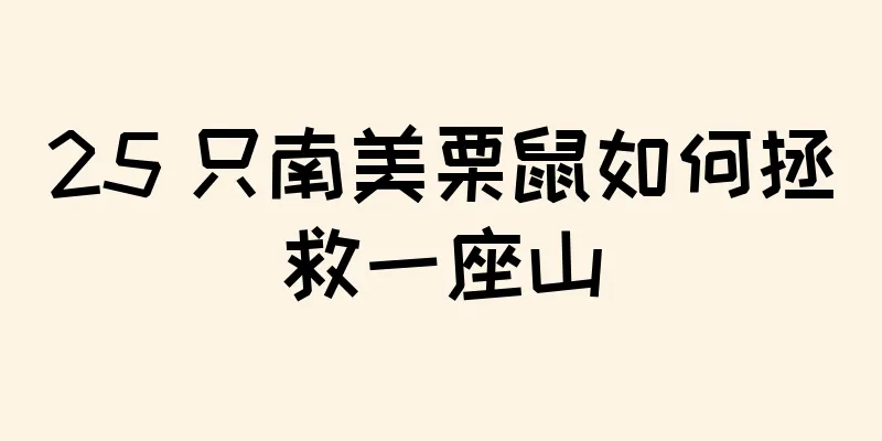 25 只南美栗鼠如何拯救一座山
