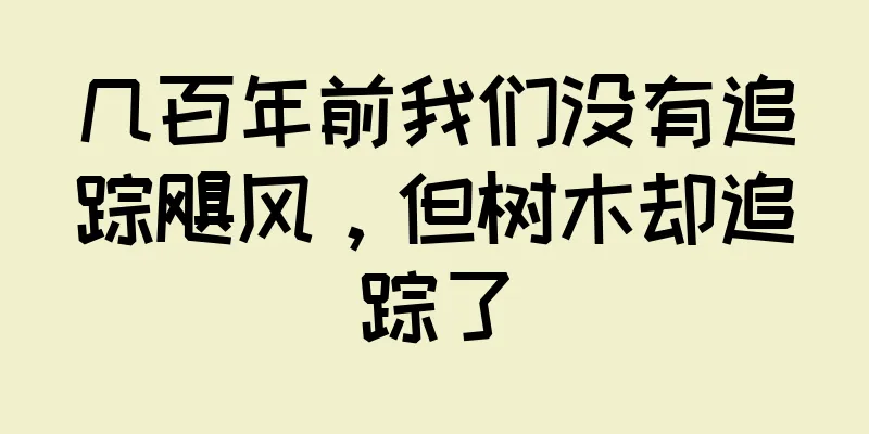 几百年前我们没有追踪飓风，但树木却追踪了