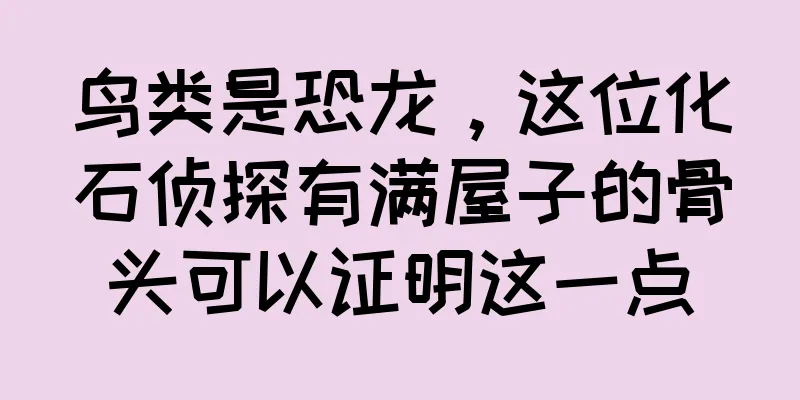 鸟类是恐龙，这位化石侦探有满屋子的骨头可以证明这一点