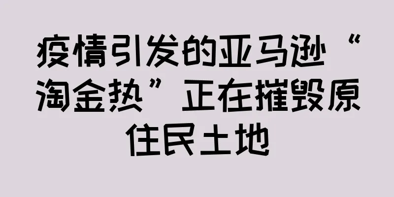 疫情引发的亚马逊“淘金热”正在摧毁原住民土地