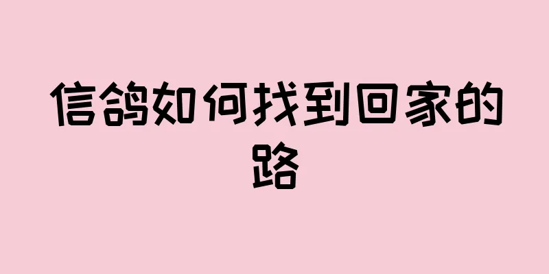 信鸽如何找到回家的路