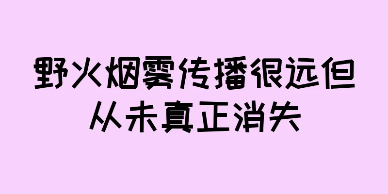 野火烟雾传播很远但从未真正消失
