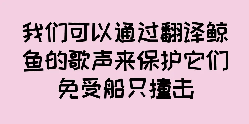 我们可以通过翻译鲸鱼的歌声来保护它们免受船只撞击