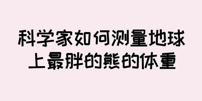 科学家如何测量地球上最胖的熊的体重