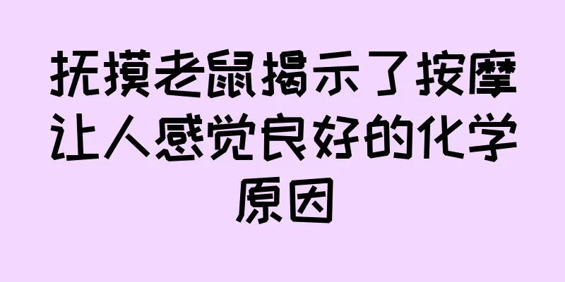 抚摸老鼠揭示了按摩让人感觉良好的化学原因