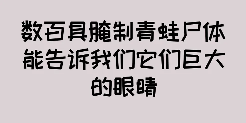数百具腌制青蛙尸体能告诉我们它们巨大的眼睛