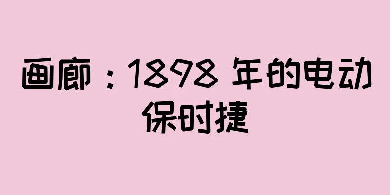 画廊：1898 年的电动保时捷
