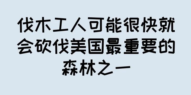 伐木工人可能很快就会砍伐美国最重要的森林之一