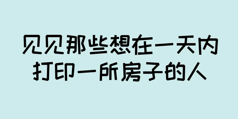见见那些想在一天内打印一所房子的人