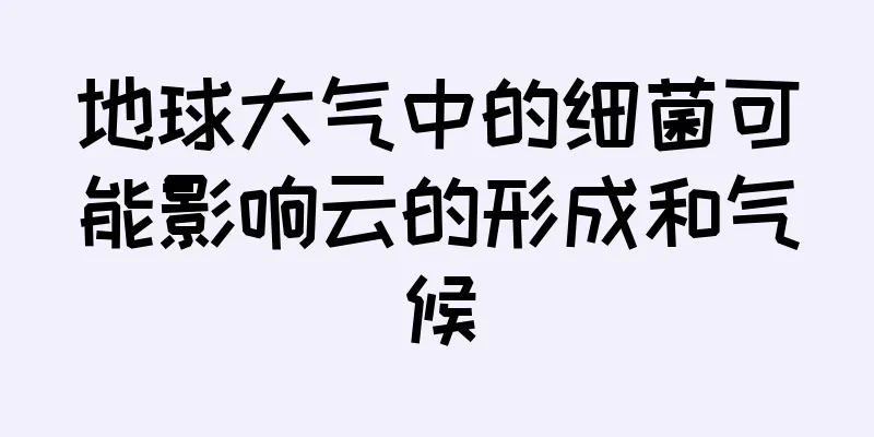 地球大气中的细菌可能影响云的形成和气候
