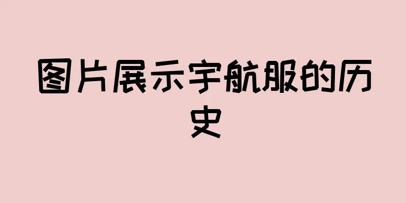 图片展示宇航服的历史