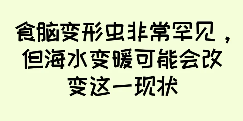 食脑变形虫非常罕见，但海水变暖可能会改变这一现状