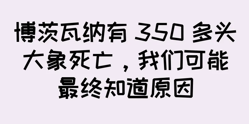 博茨瓦纳有 350 多头大象死亡，我们可能最终知道原因