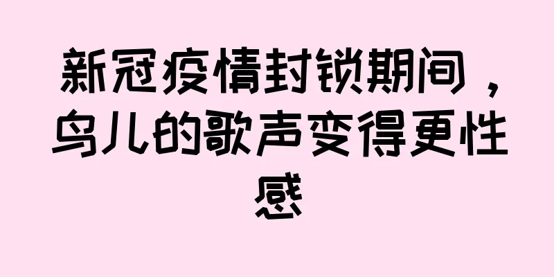 新冠疫情封锁期间，鸟儿的歌声变得更性感