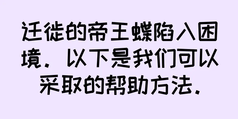 迁徙的帝王蝶陷入困境。以下是我们可以采取的帮助方法。