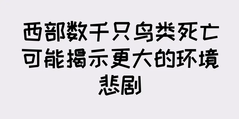 西部数千只鸟类死亡可能揭示更大的环境悲剧