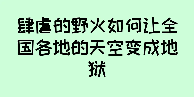 肆虐的野火如何让全国各地的天空变成地狱