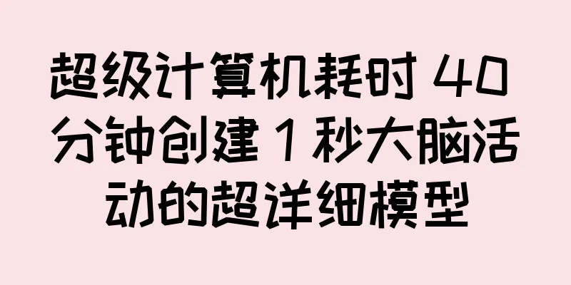 超级计算机耗时 40 分钟创建 1 秒大脑活动的超详细模型