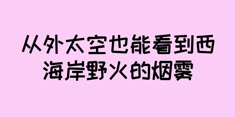 从外太空也能看到西海岸野火的烟雾